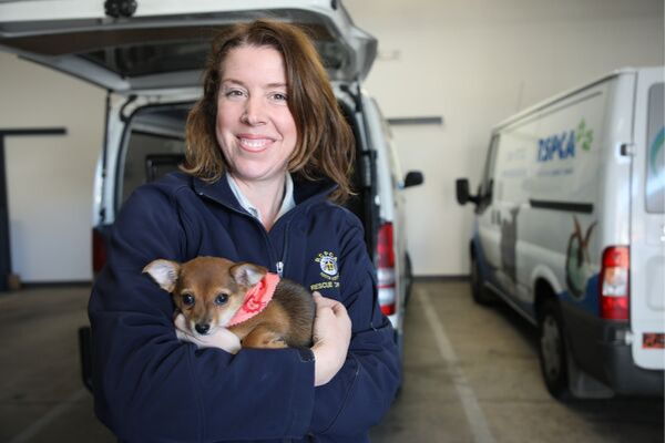 Many animals are saved by our rescue officers